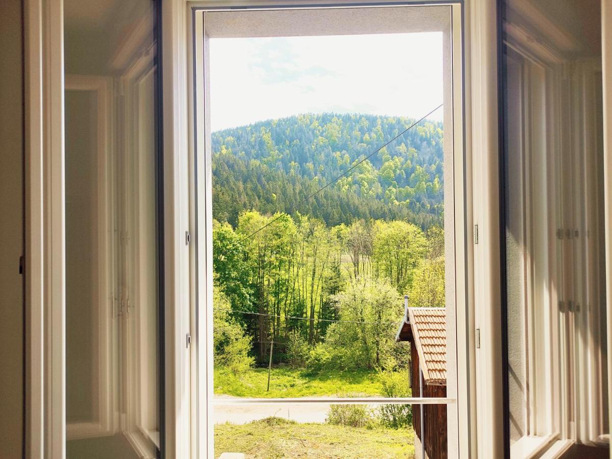 ⁂⁂ Le Chamois Appartement Cledicihome / Magnifique Vue Sur Les Montagnes / 4 Kms De Gerardmer ! ⁂⁂ Rochesson Bagian luar foto
